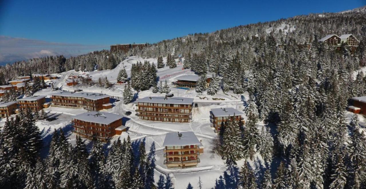 Le Cocon 4 Saisons A Chamrousse 1700 - Droseras A14 - Les Villages Du Bachat 外观 照片